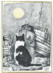Venter på fullmånen / Katt